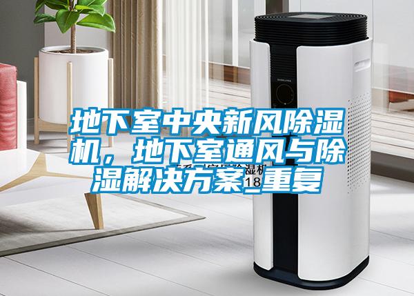 地下室中央新風除濕機<div   id=