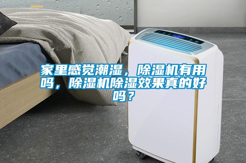 家里感覺潮濕，除濕機(jī)有用嗎<div   id=