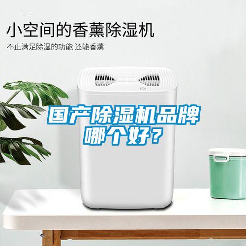 國產(chǎn)除濕機品牌哪個好<div   id=