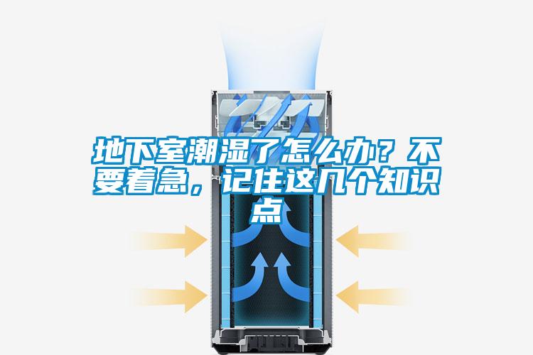 地下室潮濕了怎么辦？不要著急<div   id=