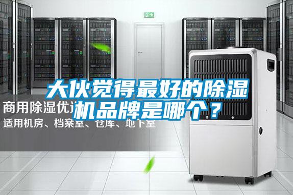 大伙覺得最好的除濕機(jī)品牌是哪個(gè)<div   id=
