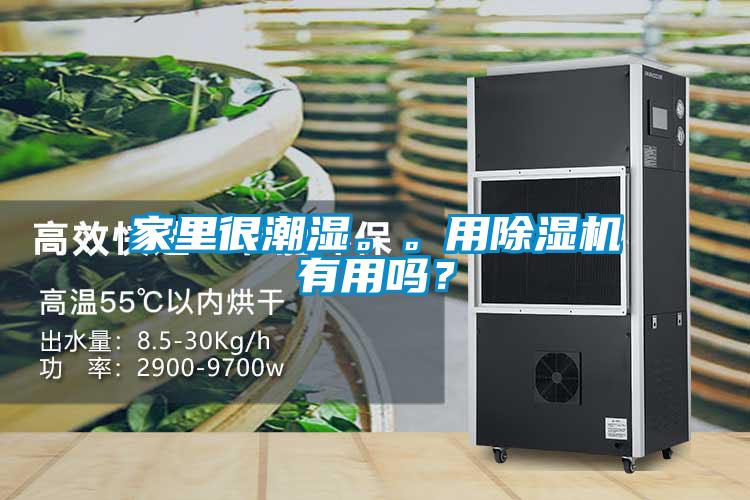 家里很潮濕<div   id=