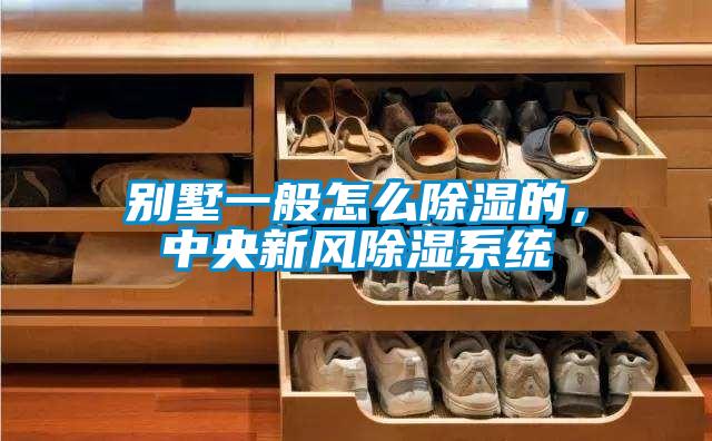 別墅一般怎么除濕的<div   id=