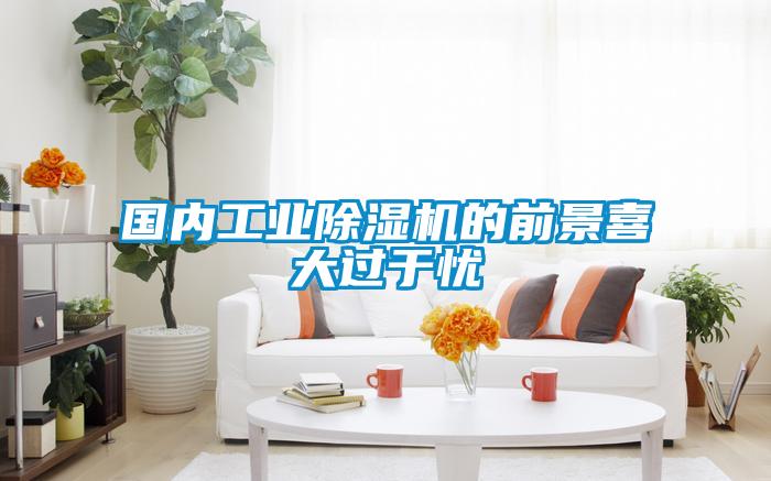 國(guó)內(nèi)工業(yè)除濕機(jī)的前景喜大過(guò)于憂(yōu)
