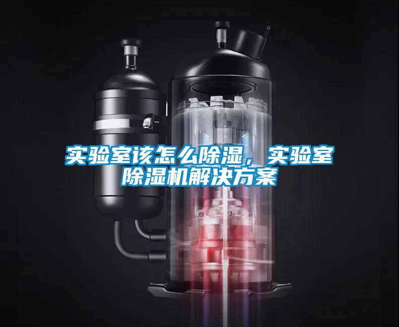 實驗室該怎么除濕,實驗室除濕機解決方案