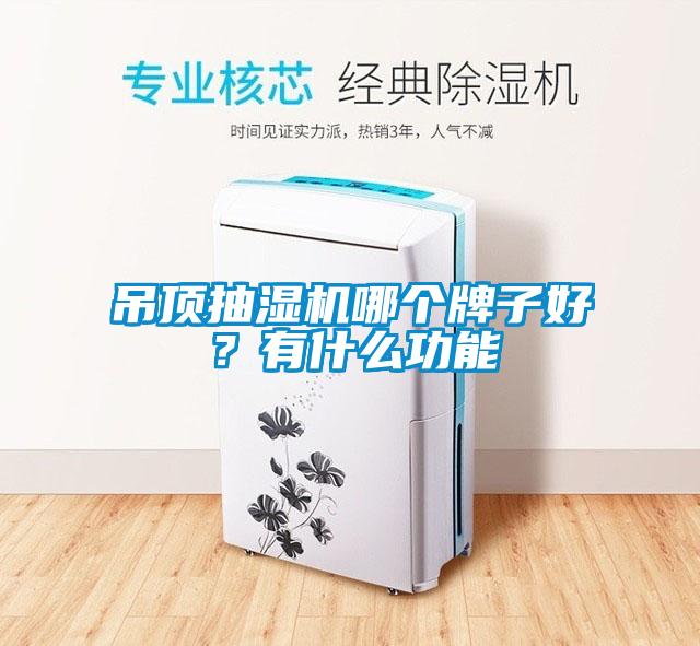 吊頂抽濕機哪個牌子好<div   id=