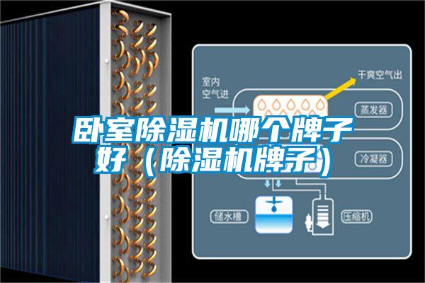 臥室除濕機(jī)哪個(gè)牌子好(除濕機(jī)牌子)