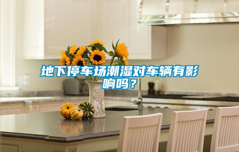 地下停車場潮濕對車輛有影響嗎<div   id=