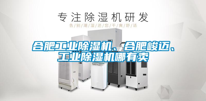 合肥工業(yè)除濕機(jī)、合肥峻邁<div   id=