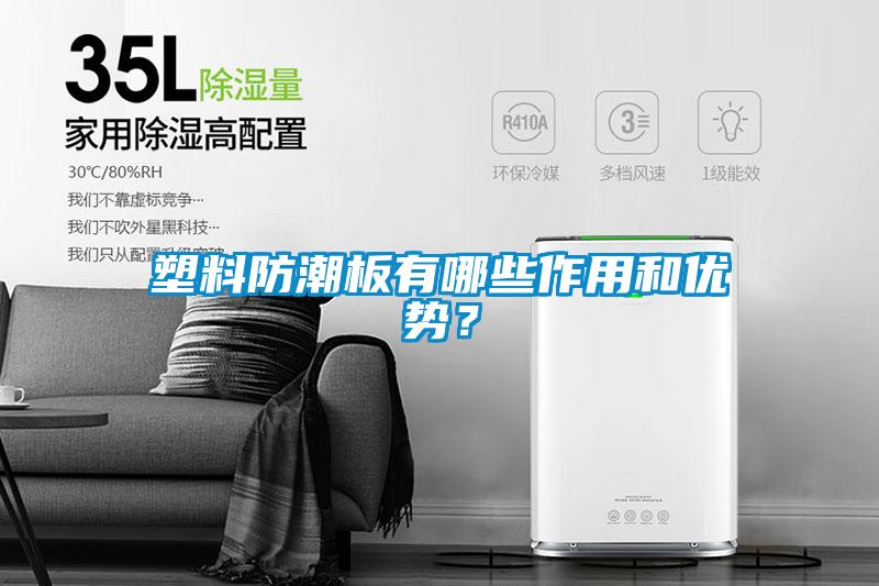 塑料防潮板有哪些作用和優(yōu)勢(shì)<div   id=