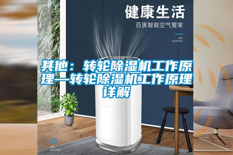 其他:轉(zhuǎn)輪除濕機(jī)工作原理—轉(zhuǎn)輪除濕機(jī)工作原理詳解