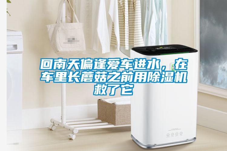 回南天偏逢愛(ài)車(chē)進(jìn)水<div   id=