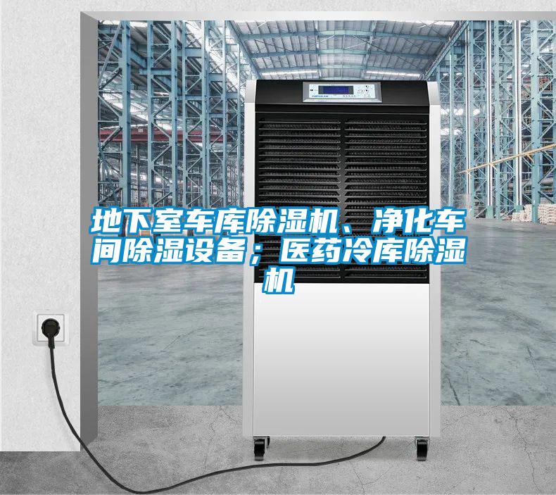 地下室車庫除濕機、凈化車間除濕設備<div   id=