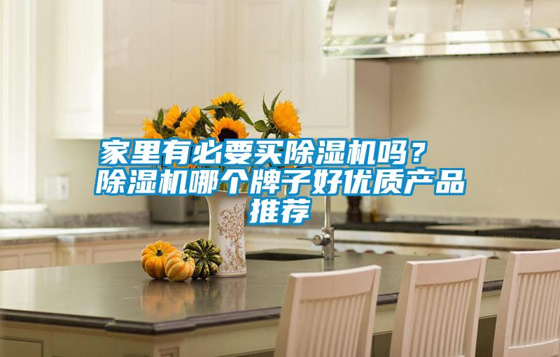 家里有必要買(mǎi)除濕機(jī)嗎<div   id=