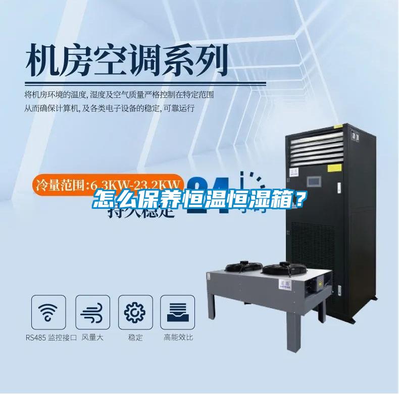 怎么保養(yǎng)恒溫恒濕箱<div   id=
