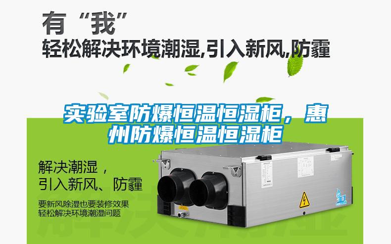 實(shí)驗(yàn)室防爆恒溫恒濕柜,惠州防爆恒溫恒濕柜