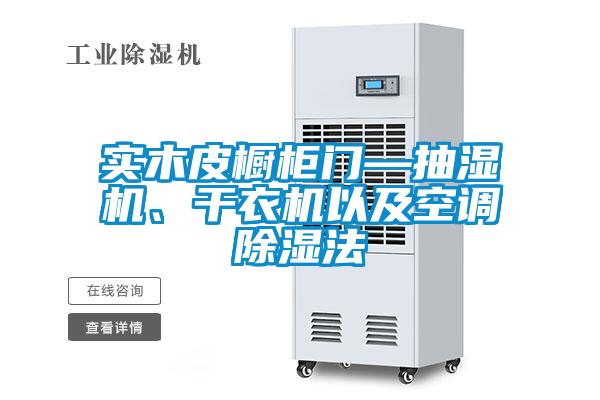 實(shí)木皮櫥柜門—抽濕機(jī)<div   id=