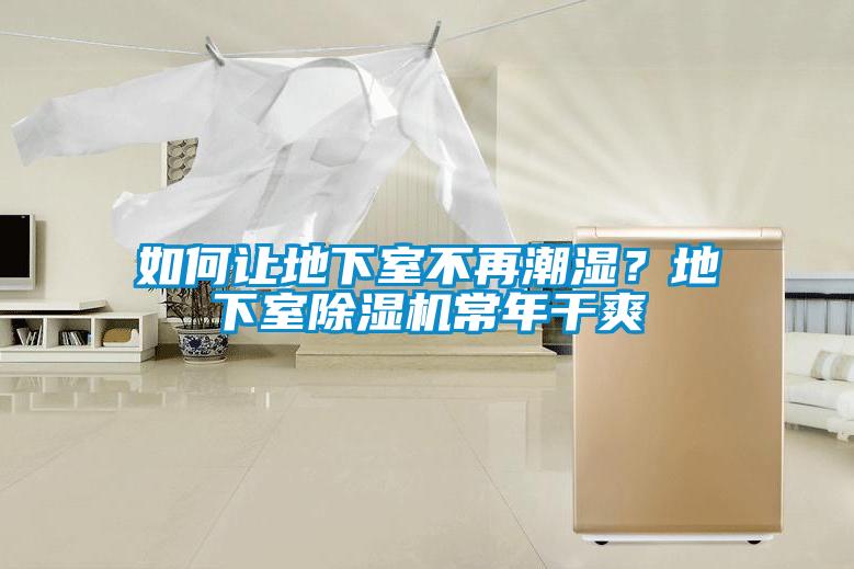如何讓地下室不再潮濕?地下室除濕機常年干爽
