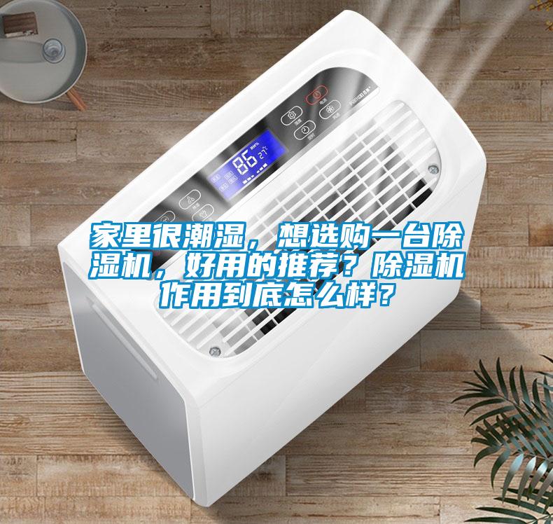 家里很潮濕<div   id=