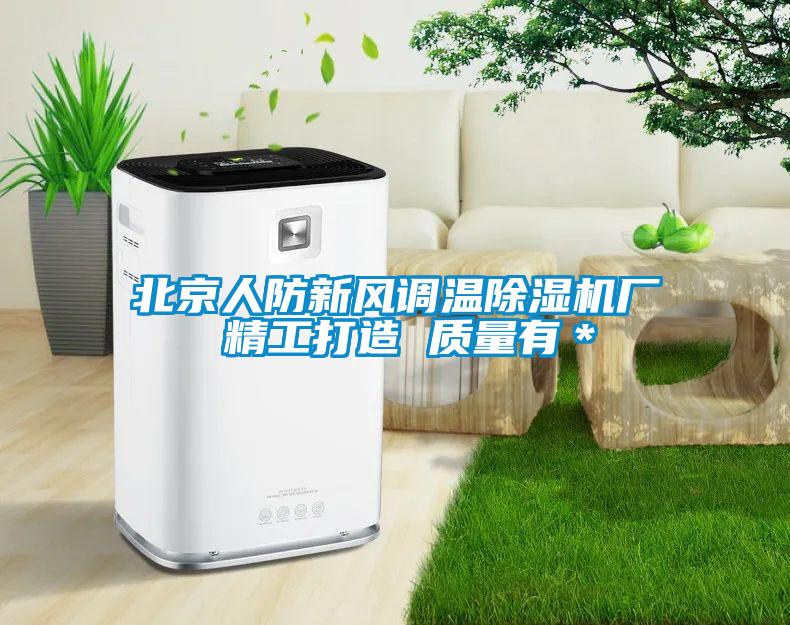 北京人防新風(fēng)調(diào)溫除濕機(jī)廠 精工打造 質(zhì)量有*