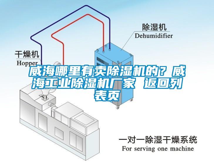 威海哪里有賣除濕機(jī)的<div   id=