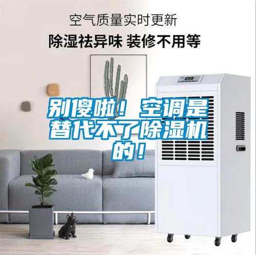 別傻啦！空調(diào)是替代不了除濕機(jī)的<div   id=