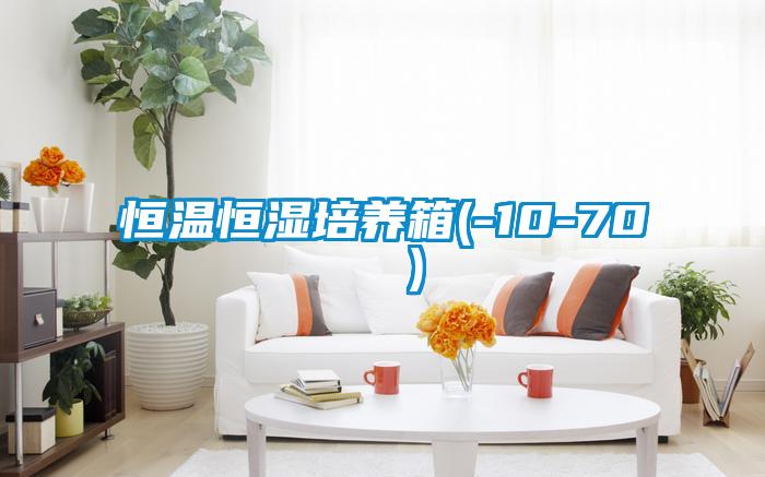 恒溫恒濕培養(yǎng)箱(-10-70 ℃)