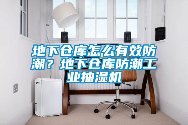 地下倉庫怎么有效防潮?地下倉庫防潮工業(yè)抽濕機(jī)