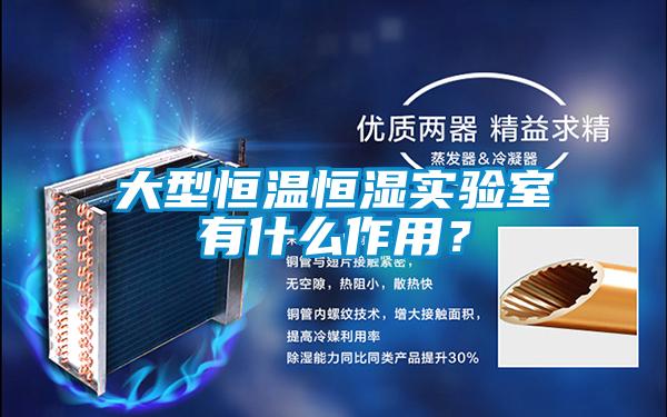 大型恒溫恒濕實(shí)驗(yàn)室有什么作用<div   id=