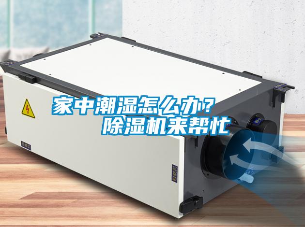 家中潮濕怎么辦? 除濕機來幫忙