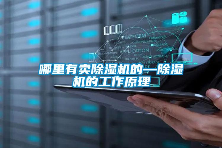 哪里有賣(mài)除濕機(jī)的—除濕機(jī)的工作原理