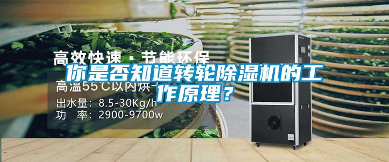 你是否知道轉(zhuǎn)輪除濕機的工作原理<div   id=
