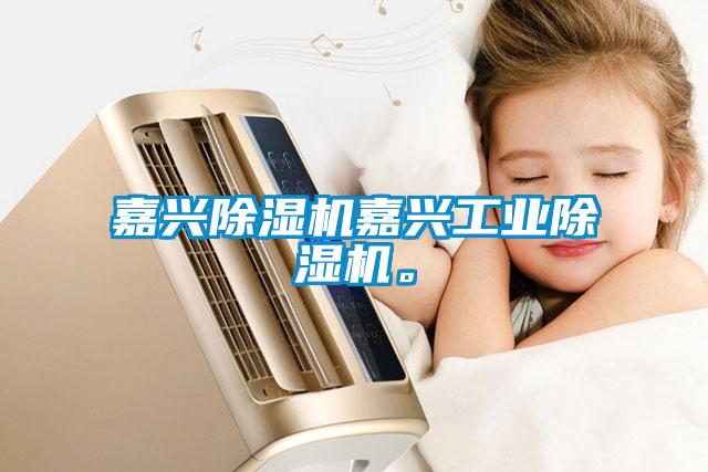 嘉興除濕機(jī)嘉興工業(yè)除濕機(jī)<div   id=