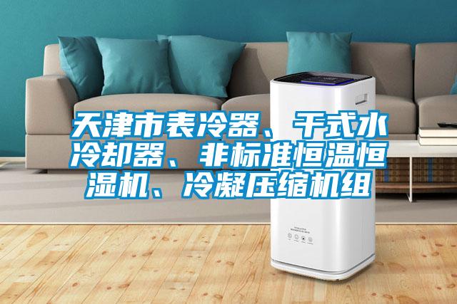 天津市表冷器、干式水冷卻器<div   id=