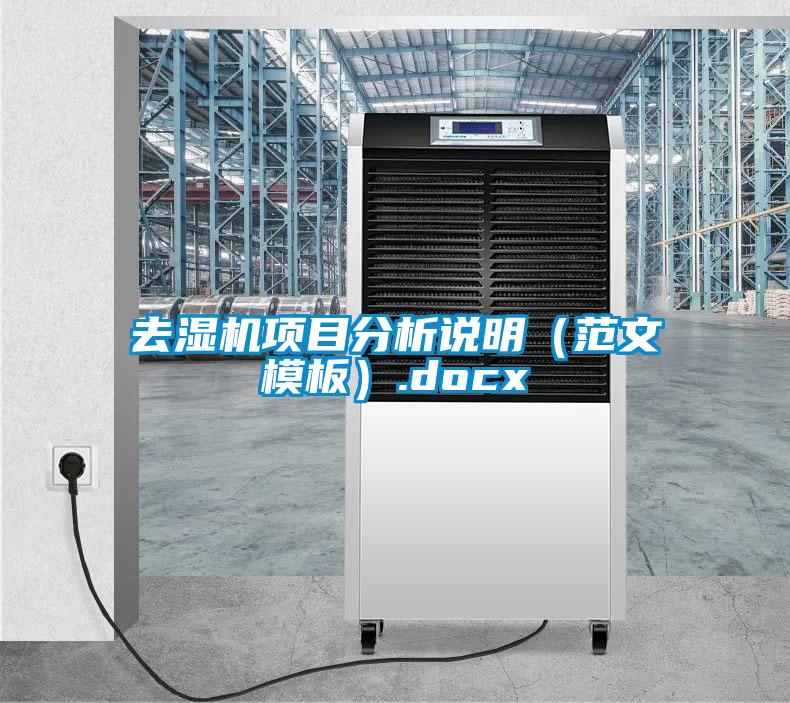 去濕機項目分析說明(范文模板).docx