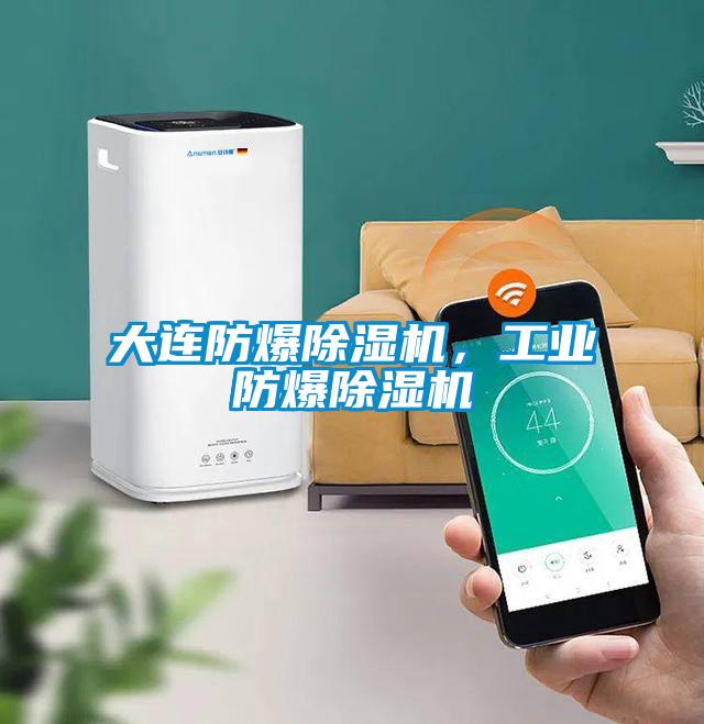 大連防爆除濕機(jī)<div   id=