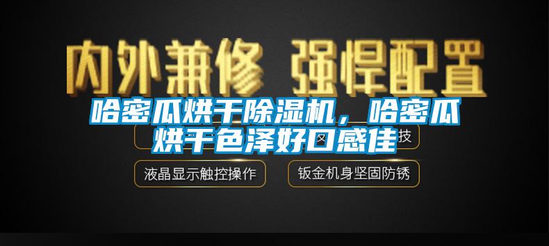哈密瓜烘干除濕機(jī),哈密瓜烘干色澤好口感佳