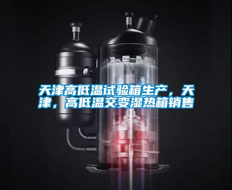 天津高低溫試驗箱生產(chǎn)，天津<div   id=
