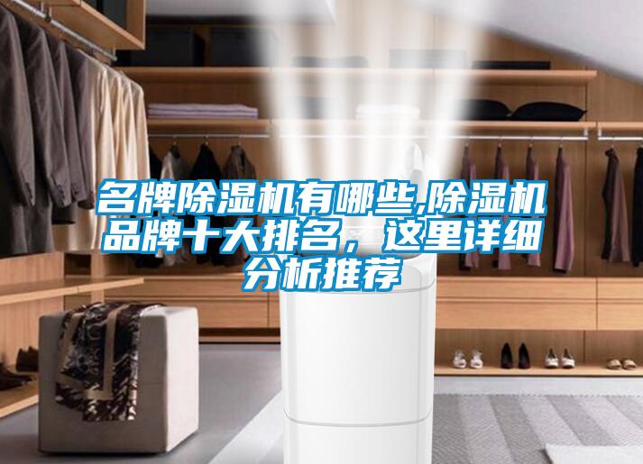名牌除濕機(jī)有哪些,除濕機(jī)品牌十大排名<div   id=