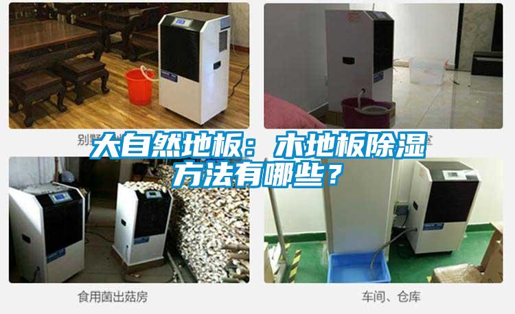 大自然地板:木地板除濕方法有哪些?