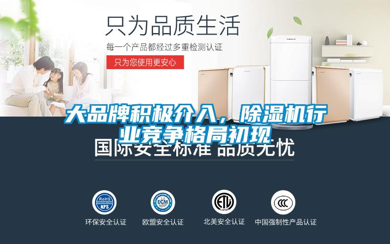 大品牌積極介入<div   id=