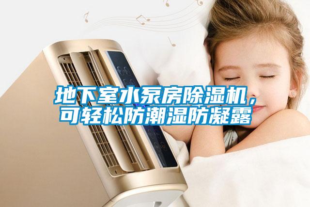 地下室水泵房除濕機(jī)<div   id=