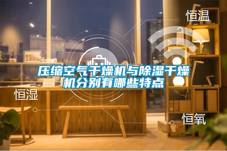 壓縮空氣干燥機(jī)與除濕干燥機(jī)分別有哪些特點