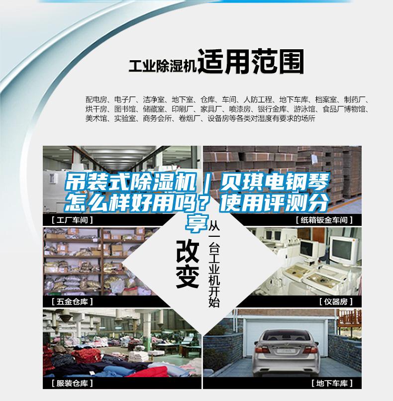 吊裝式除濕機(jī)｜貝琪電鋼琴怎么樣好用嗎<div   id=
