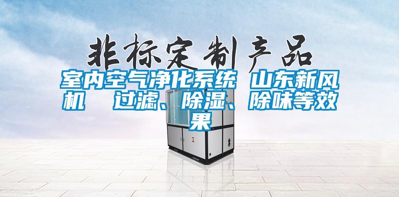 室內(nèi)空氣凈化系統(tǒng) 山東新風(fēng)機(jī)  過濾<div   id=