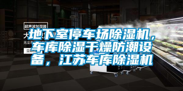 地下室停車場除濕機(jī)，車庫除濕干燥防潮設(shè)備<div   id=
