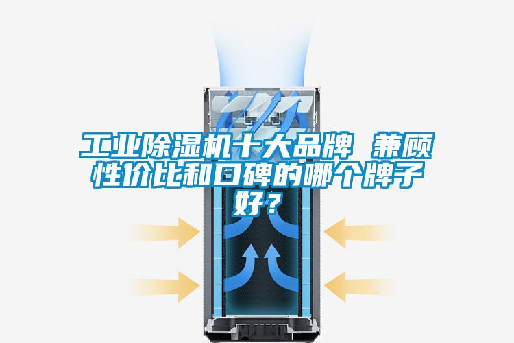 工業(yè)除濕機(jī)十大品牌 兼顧性價比和口碑的哪個牌子好<div   id=
