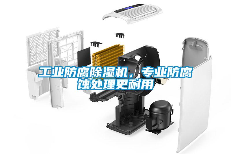 工業(yè)防腐除濕機<div   id=