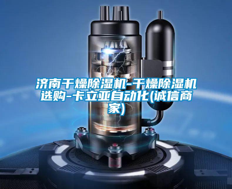 濟(jì)南干燥除濕機-干燥除濕機選購-卡立亞自動化(誠信商家)