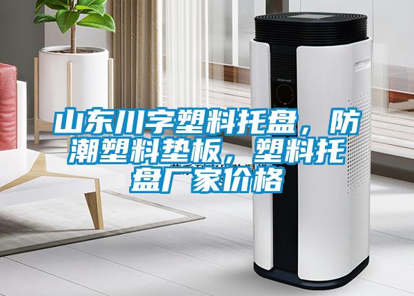 山東川字塑料托盤(pán)，防潮塑料墊板<div   id=